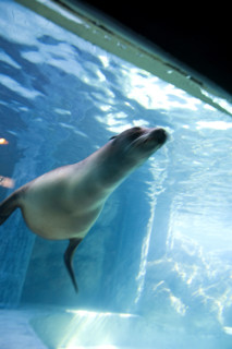 Hong kong marine park