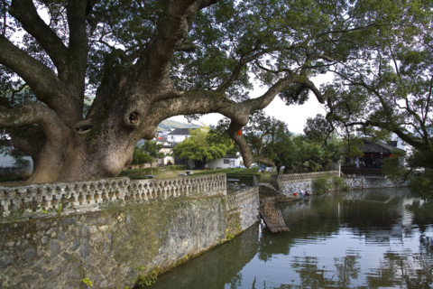 Village of Jiangxi