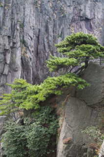 Mount Huang