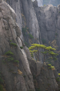 Mount Huang