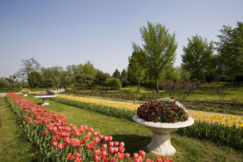 Beijing Botanical Garden