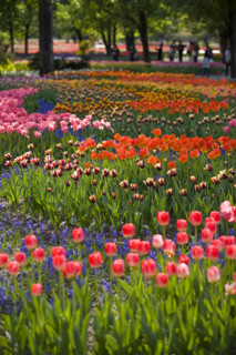 Beijing Botanical Garden