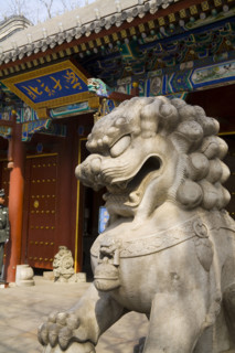 Beijing University,Beijing