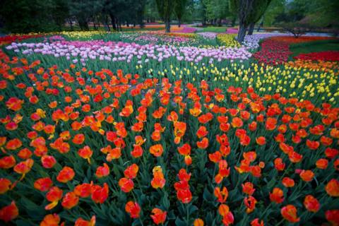 Beijing Botanical Garden