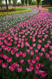 Beijing Botanical Garden