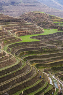 Longji Terraces,Guangxi