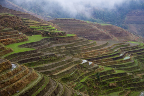 Longji Terraces,Guangxi