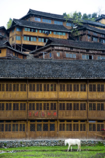 Longji Terraces,Guangxi
