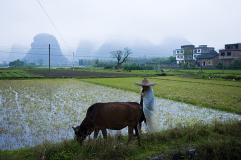 Yangshuo,Guilin,Guangxi
