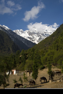 Yunnan,Deqin,shangri-la,Meili Snow Mountain,
