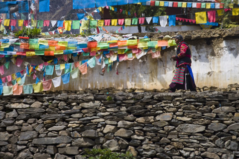 Yunnan,Deqin,shangri-la,Meili Snow Mountain,