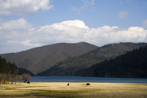 Yunnan,Pudacuo National Park,