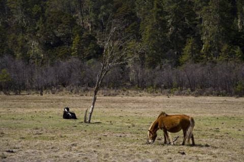 Yunnan,Pudacuo National Park,