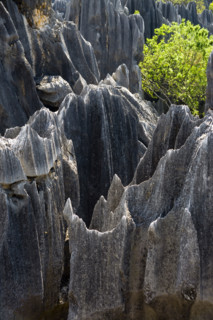 Yunnan,Stone Forest