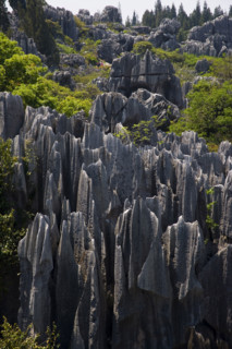 Yunnan,Stone Forest