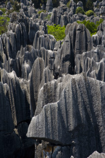Yunnan,Stone Forest