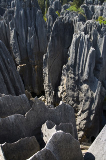 Yunnan,Stone Forest