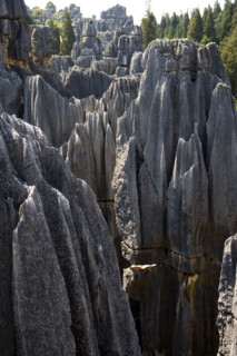 Yunnan,Stone Forest