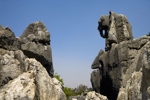 Yunnan,Stone Forest