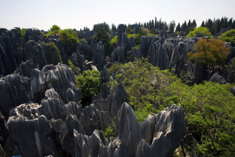 Yunnan,Stone Forest