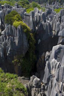 Yunnan,Stone Forest