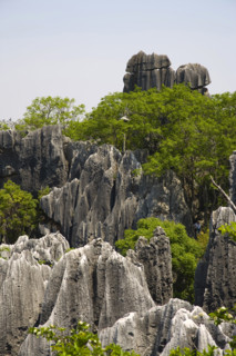 Yunnan,Stone Forest
