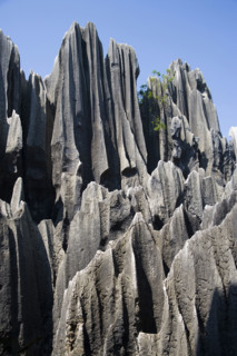 Yunnan,Stone Forest