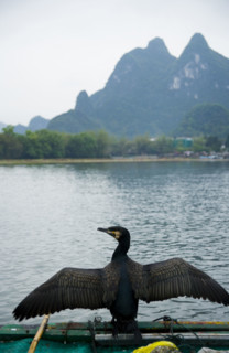 Xingping Town,Guangxi