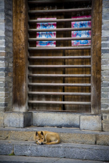 Xingping Town,Guangxi