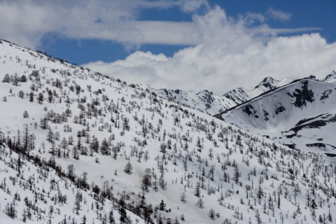 White Horse Snow Mountain,Yunnan