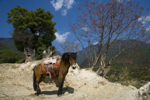 Baishui Terrace of Yunnan