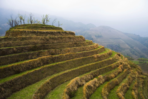 Longji Terraces,Guangxi