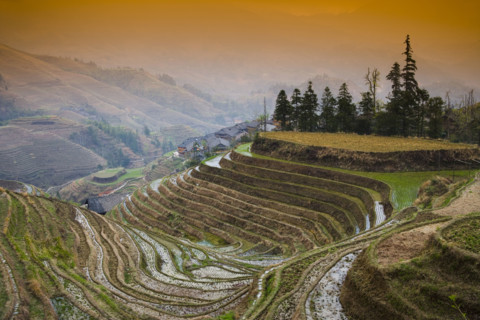 Longji Terraces,Guangxi