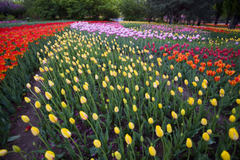 Beijing Botanical Garden