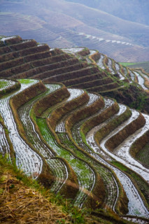 Longji Terraces,Guangxi