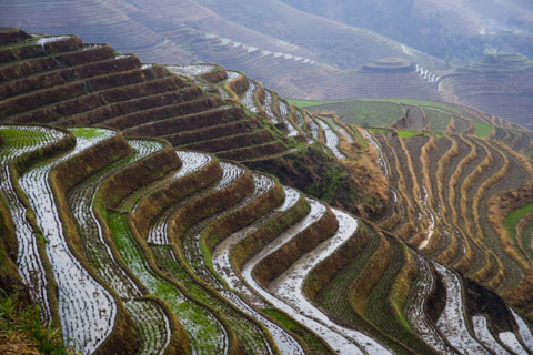 Longji Terraces,Guangxi
