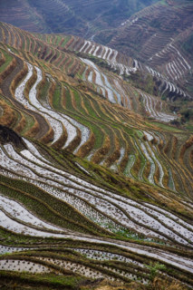 Longji Terraces,Guangxi