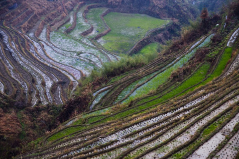 Longji Terraces,Guangxi