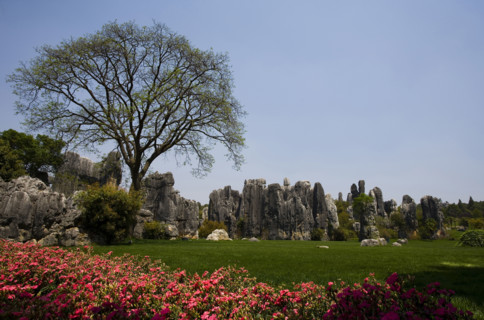 Yunnan,Kunming,Xishan