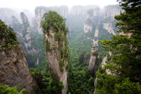 Hunan,Zhangjiajie National Forest Park,Zhangjiajie,Beauty in Nature,Mt Tianzi,Mount Tianzi,