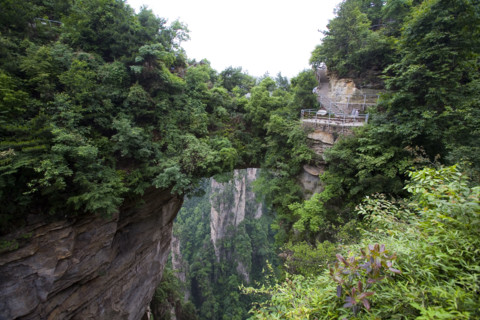 Hunan,Zhangjiajie National Forest Park,Zhangjiajie,Beauty in Nature,Mt Tianzi,Mount Tianzi,