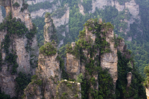 Hunan,Zhangjiajie National Forest Park,Zhangjiajie,Beauty in Nature,Mt Tianzi,Mount Tianzi,