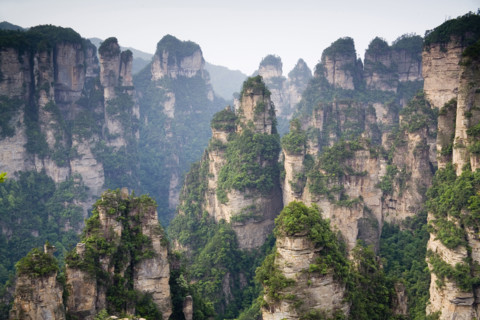 Hunan,Zhangjiajie National Forest Park,Zhangjiajie,Beauty in Nature,Mt Tianzi,Mount Tianzi,
