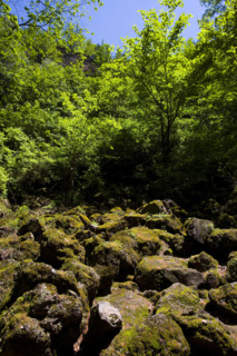 Heilongjiang,Jingbo Lake,Mirror Lake,Underground forest,