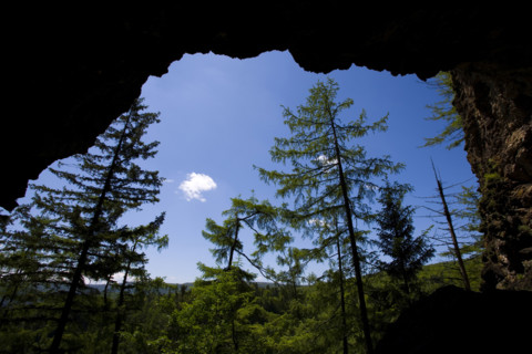 Heilongjiang,Jingbo Lake,Mirror Lake,Underground forest,