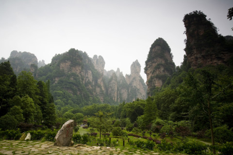 Hunan,Zhangjiajie National Forest Park,Zhangjiajie,Beauty in Nature,