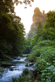 Hunan,Zhangjiajie National Forest Park,Zhangjiajie,Beauty in Nature,???,