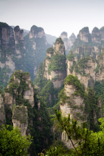 Hunan,Zhangjiajie National Forest Park,Zhangjiajie,Beauty in Nature,Mt Tianzi,Mount Tianzi,