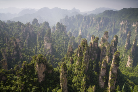 Hunan,Zhangjiajie National Forest Park,Zhangjiajie,Beauty in Nature,Mt Tianzi,Mount Tianzi,