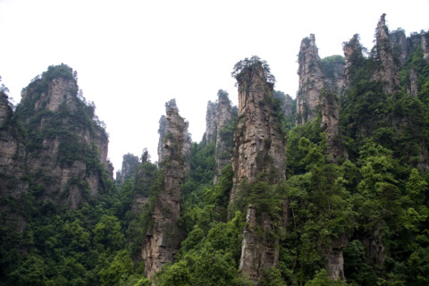 Hunan,Zhangjiajie National Forest Park,Zhangjiajie,Beauty in Nature,Mt Tianzi,Mount Tianzi,